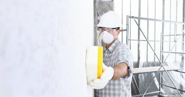 Best Asbestos and Lead Testing During Mold Inspection  in USA